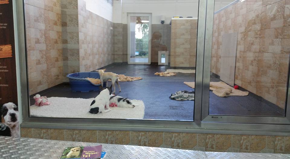 Biggest pet shop in the world